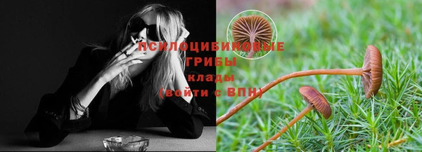 прущие грибы Нефтегорск