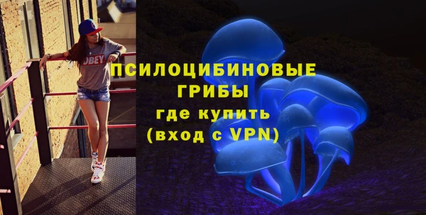прущие крисы Билибино