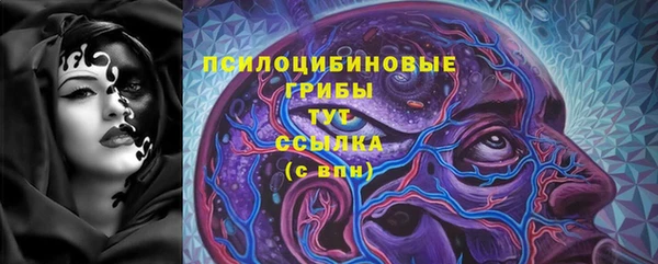 стафф Абаза