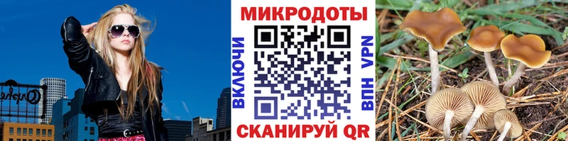 Псилоцибиновые грибы ЛСД  Нестеровская 